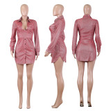 Sexy Turndown Collar Long Sleeve Mini Dress NIK-197