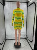 Sexy Turtleneck Long Sleeve Printed Bodycon Mini Dress YN-1061