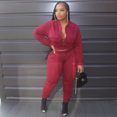 Plus Size Casual Solid Long Sleeve Two Piece Sets LP-6268
