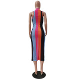 Sheer Mesh Striped Print Sleeveless Maxi Dress TR-1120
