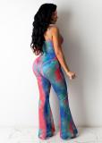 Fashion Sexy Mesh Print Bodysuit And Pants Two Piece Sets ORY-5187