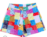 Plus Size Summer Casual Paisley Print Shorts FSL-108