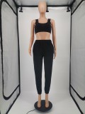 Plus Size Solid Sports Tank Top And Pants 2 Piece Suits YIM-182