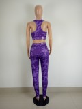 Casual Fitness Printed Two Piece Pant Sets LSL-6431