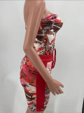Sexy Printed Tube Top And Pants 2 Piece Sets 2021 YMEF-5013