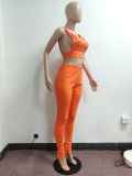 Sexy Solid Backless Sleeveless 2 Piece Pant Sets JPF-1037
