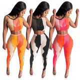 Sexy Mesh Sleeveless Two Piece Pant Sets YD-8386