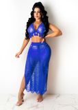 Sexy Knitted Tassel Hollow Out Two Piece Skirt Set TR-1151