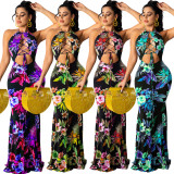 Floral Print Lace Up Halter Hollow Maxi Dress WY-6791