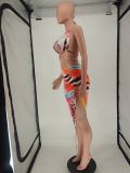 Sexy Printed Bra Top Irregular Skirt 2 Piece Sets NLAF-6066