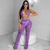 Plus Size Sexy Printed Mesh See Through Ruffled Two Piece Sets SH-3592