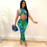 Sexy Printed Hater Long Skirt 2 Piece Sets SH-390152