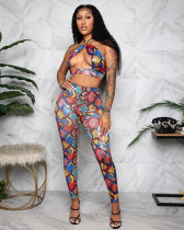 Sexy Printed Halter Two Piece Pants Set YUEM-667008