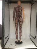 Sexy Leopard Mesh One Shoulder Bodysuit+Pants 2 Piece Sets DMF-8181