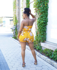 Floral Print Tube Top And Shorts 2 Piece Sets BS-1277