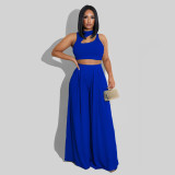 Solid Sleeveless Crop Top Wide Leg Pants 2 Piece Sets SFY-2123