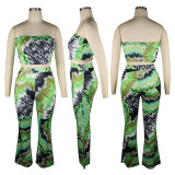 Sexy Printed Tube Top And Pants Two Piece Sets TE-4307