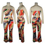 Sexy Printed Tube Top And Pants Two Piece Sets TE-4307