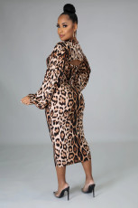 Leopard Long Sleeve Crop Top+Sling Midi Dress 2 Piece Sets PIN-8607