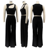Solid Sleeveless Crop Top Wide Leg Pants 2 Piece Sets SFY-2123