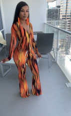 Sexy Printed V Neck Long Sleeve Jumpsuit ZMDF-9125
