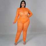 Plus Size Lace Perspective Bodysuit+Pants 2 Piece Sets NNWF-7264