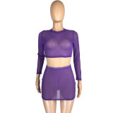 Mesh Perspective Long Sleeve And Mini Skirt Two Piece Sets LM-8273