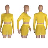 Mesh Perspective Long Sleeve And Mini Skirt Two Piece Sets LM-8273