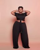 Plus Size Fashion Casual Short Sleeve And Pants 2 Piece Sets WAF-77233