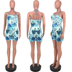 Casual Print Halter Top Shorts Two Piece Sets DFNA-5213
