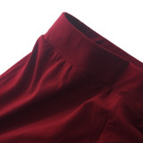 Solid Long Sleeve Slim-Waist Two Piece Pants Set MZ-0119