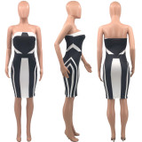Sexy Printed Off Shoulder Bodycon Tube Dress PHF-1231