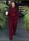 Plus Size Solid Long Sleeve Irregular Top And Pants 2 Piece Sets OD-8454