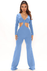 Solid Sexy Hollow Out Long Sleeve Jumpsuit LDS-3291