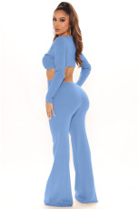 Solid Sexy Hollow Out Long Sleeve Jumpsuit LDS-3291