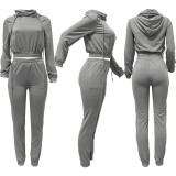 Solid Hooded Pile Collar Long Sleeve 2 Piece Pants Set FSL-F126