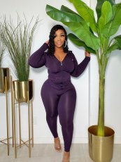 Plus Size Solid Hooded Long Sleeve Casual 2 Piece Suits FNN-8633