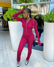 Solid Long Sleeve Zipper Stacked Jumpsuit WSM-5281