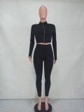 Casual Solid Long Sleeve Zipper Two Piece Pants Set YD-8528