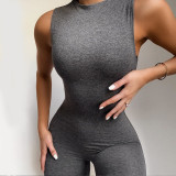 Solid Sexy Sleeveless Tight Jumpsuit XEF-P1736513