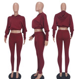 Casual Long Sleeve Hoodie And Pants 2 Piece Sets QZYD-YD1072