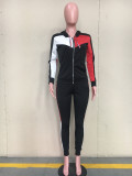 Casual Sports Splice Coat And Pants 2 Piece Sets ORY-5075