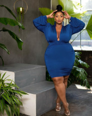 Plus Size Solid V Neck Long Sleeve Ruched Bodycon Dress JGEF-063