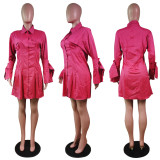 Solid Long Sleeve Turndown Collar Shirt Dress WY-6861