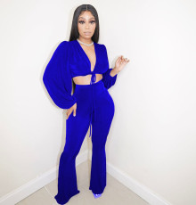 Velvet Strappy Crop Top Flared Pants 2 Piece Sets ANNF-6102