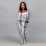 Snake Skin Print Sports Zipper Long Sleeve 2 Piece Sets NK-8508