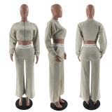 Solid Fleece Zipper Long Sleeve Two Piece Pants Set YN-88829