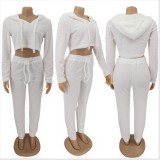Plus Size Plush Hooded Long Sleeve 2 Piece Pants Set HNIF-061