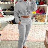 Solid Fleece Hoodies And Pants Two Piece Sets CH-8201