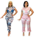 Plus Size Printed Short Sleeve Two Piece Sets JZHF-8041